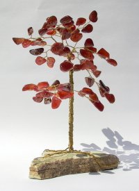 Red Carnelian (Click to enlarge)